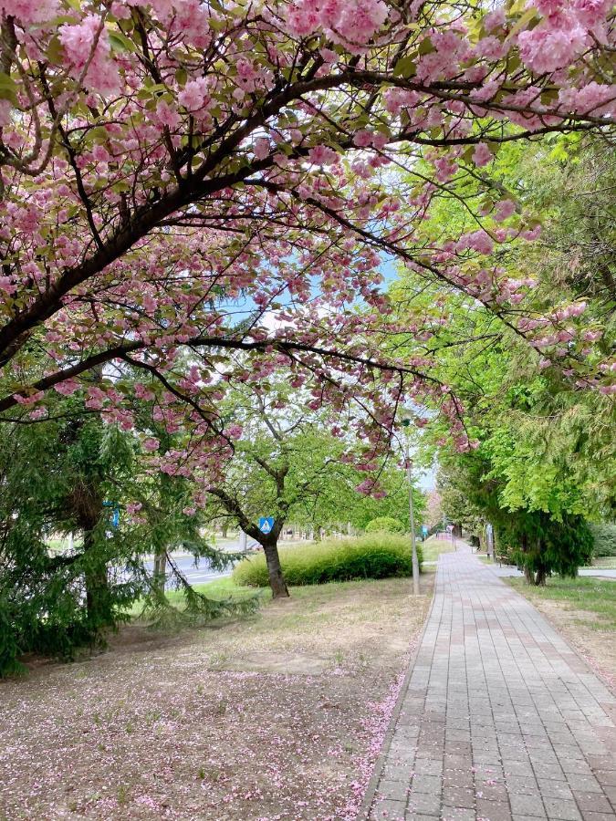 Aqualita Apartman Zalakaros Exteriör bild